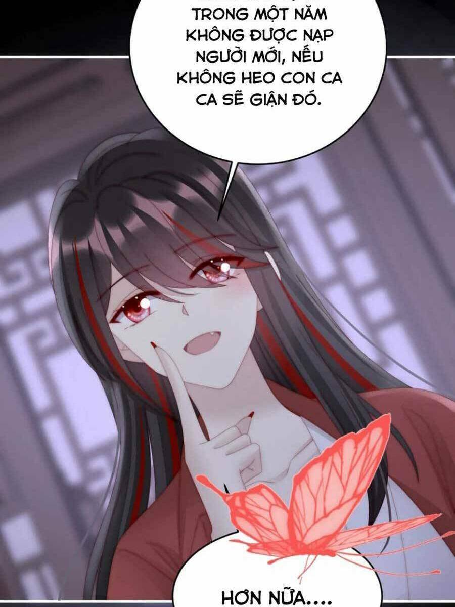 page_24.jpg