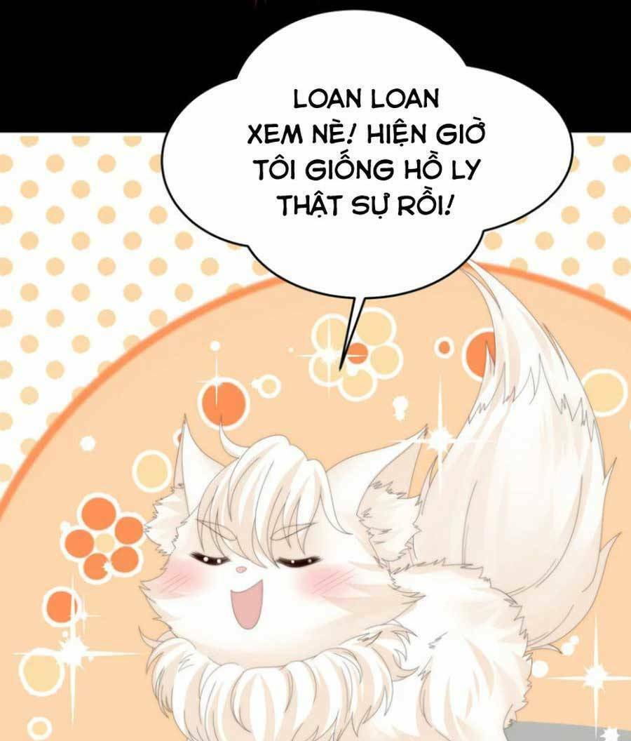 page_41.jpg