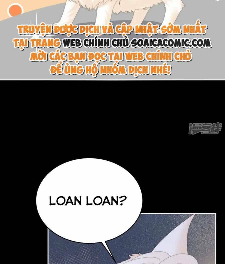page_42.jpg