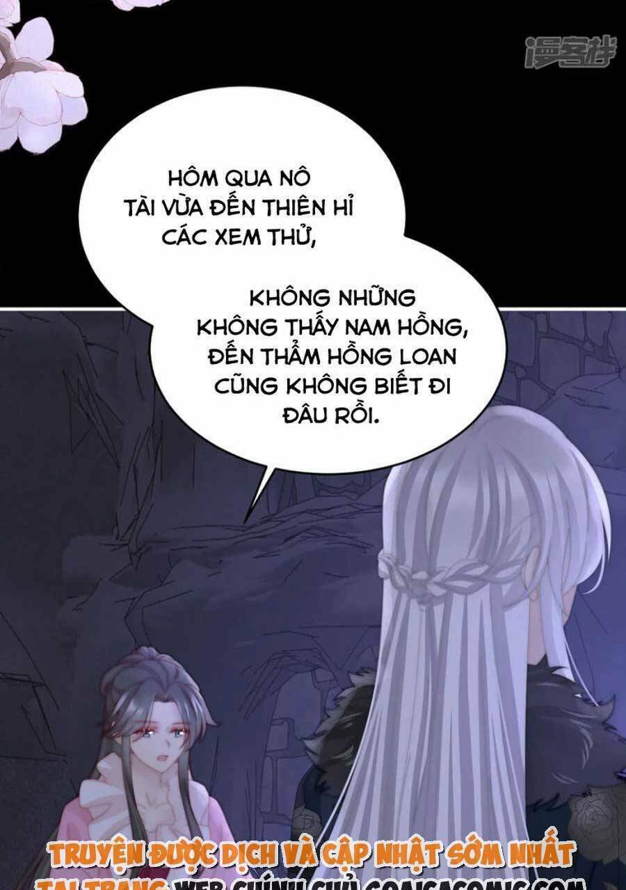 page_49.jpg