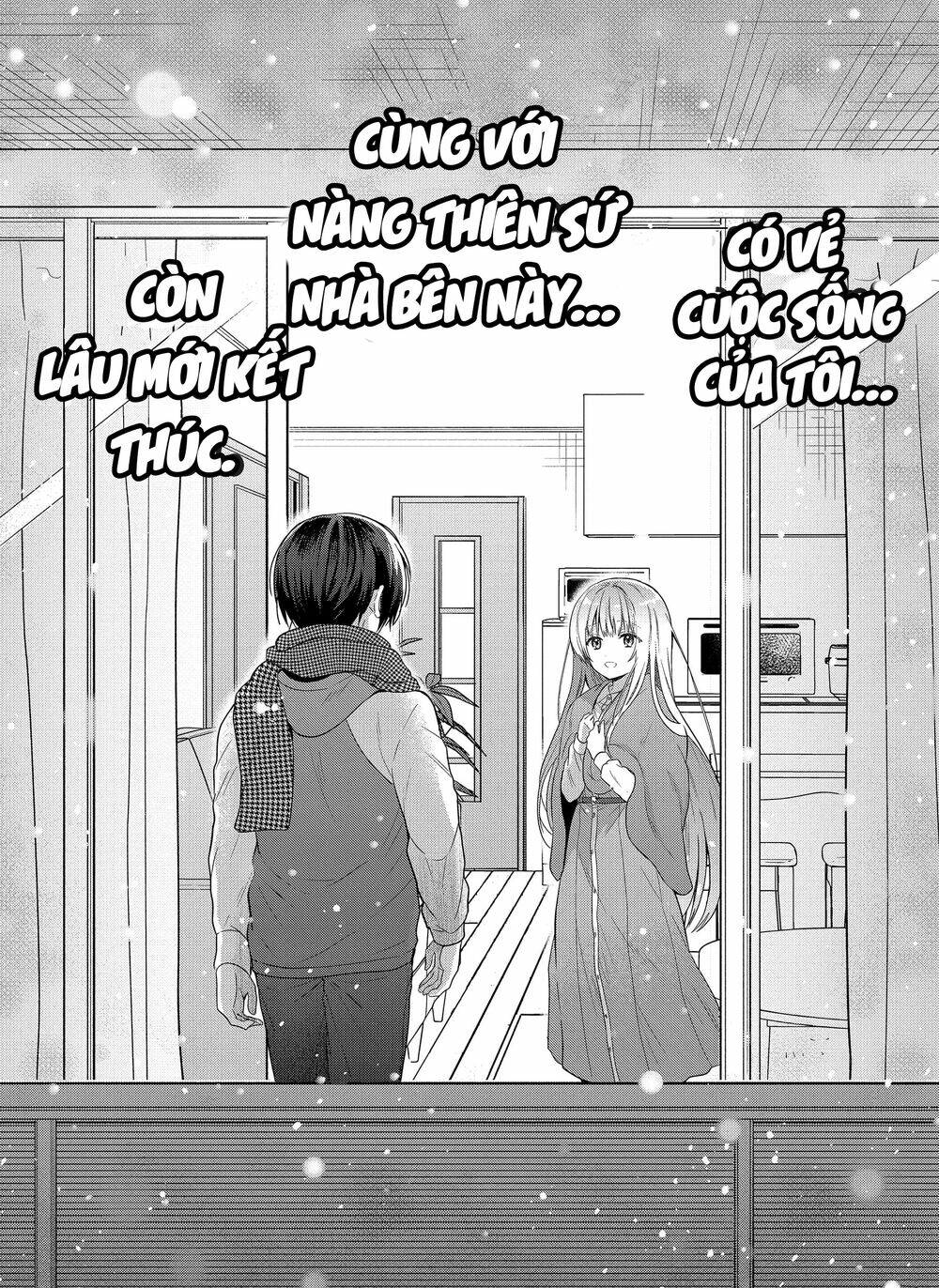 page_14.jpg