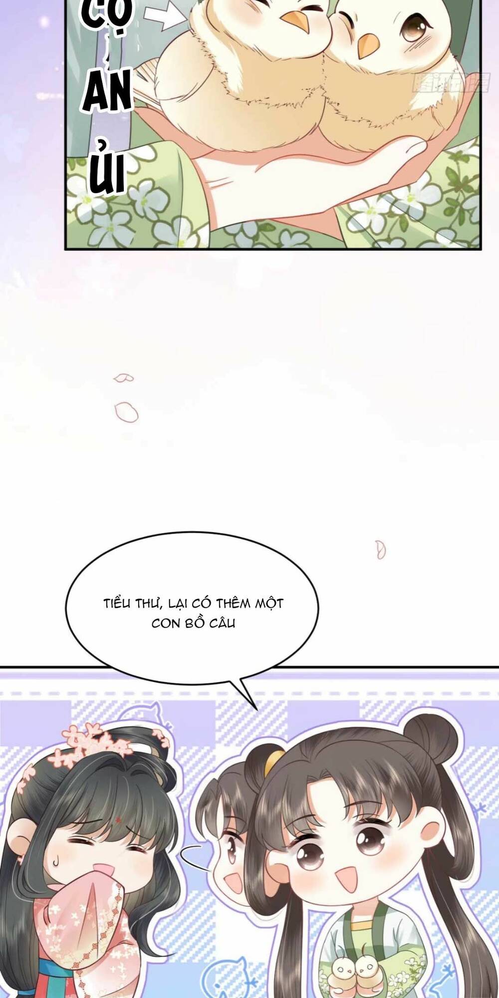 page_49.jpg