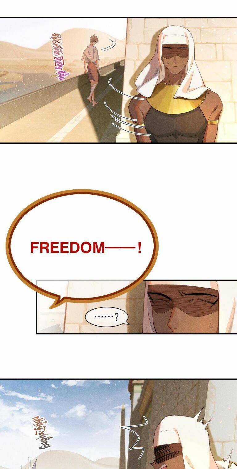 page_31.jpg