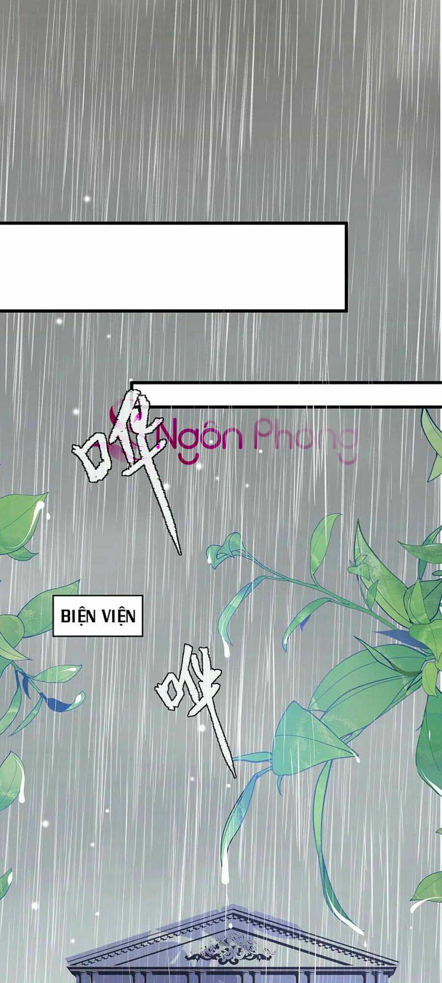 page_24.jpg