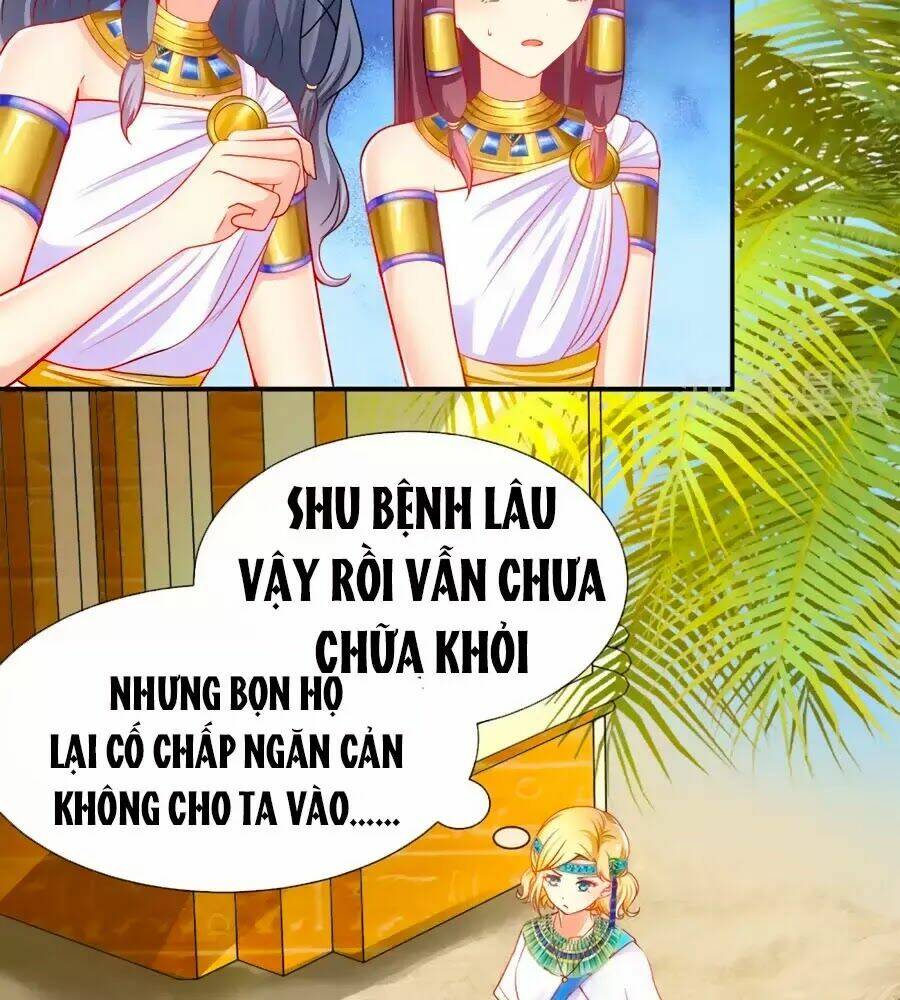 page_5.jpg