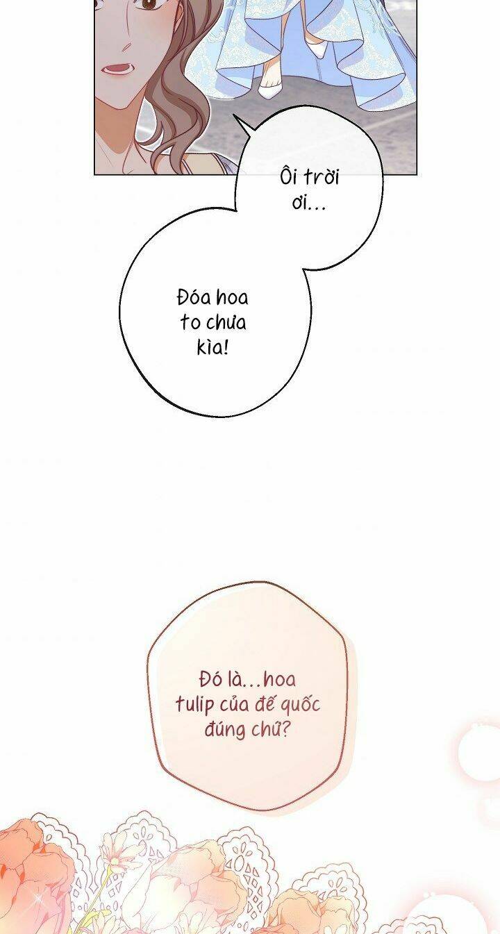 page_61.jpg