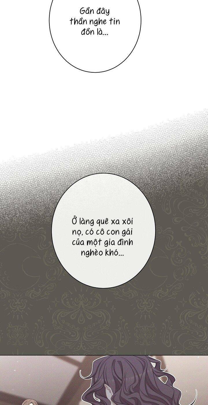 page_26.jpg