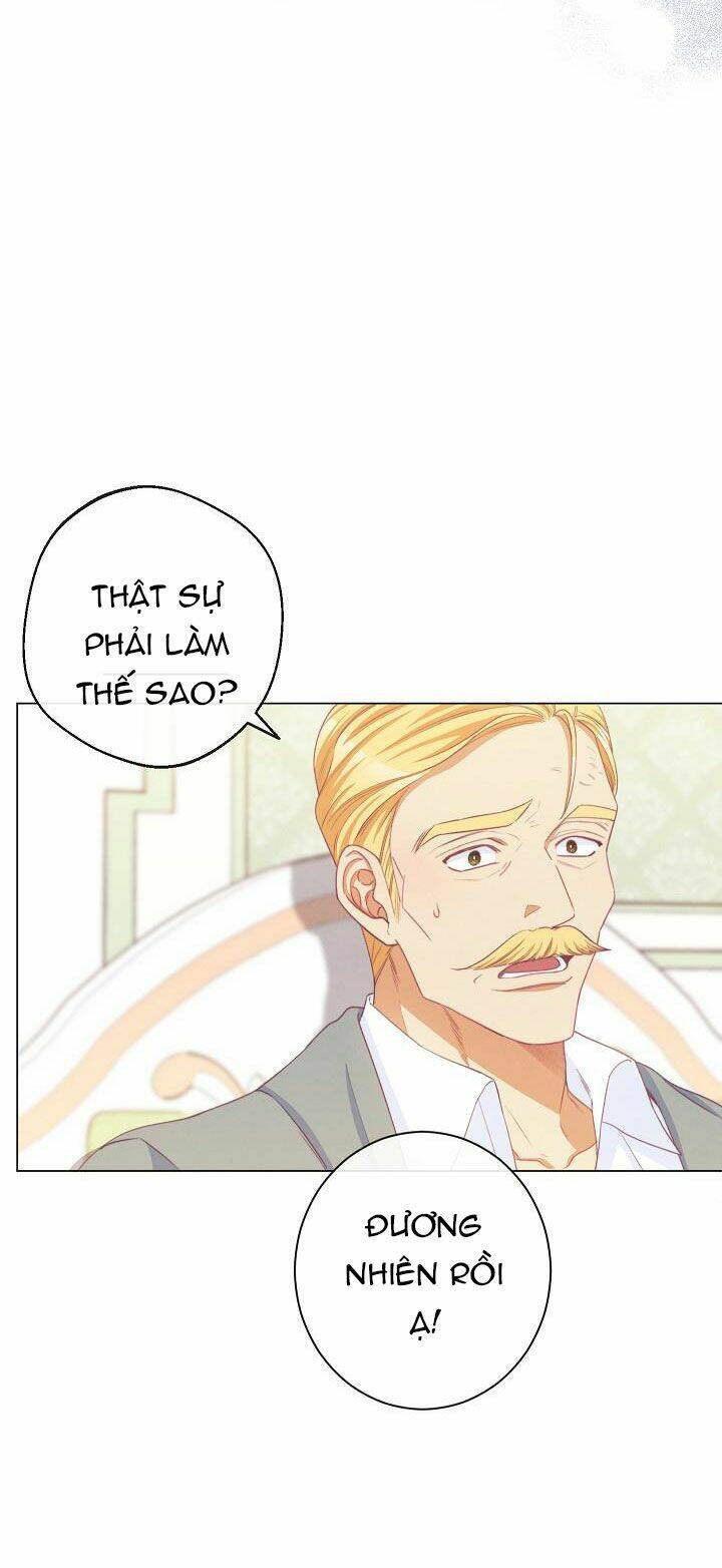 page_24.jpg