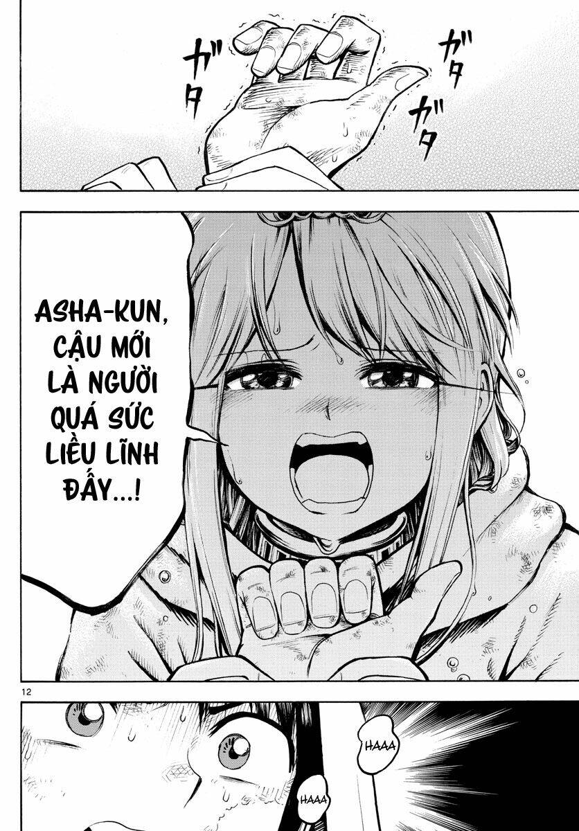 page_13.jpg