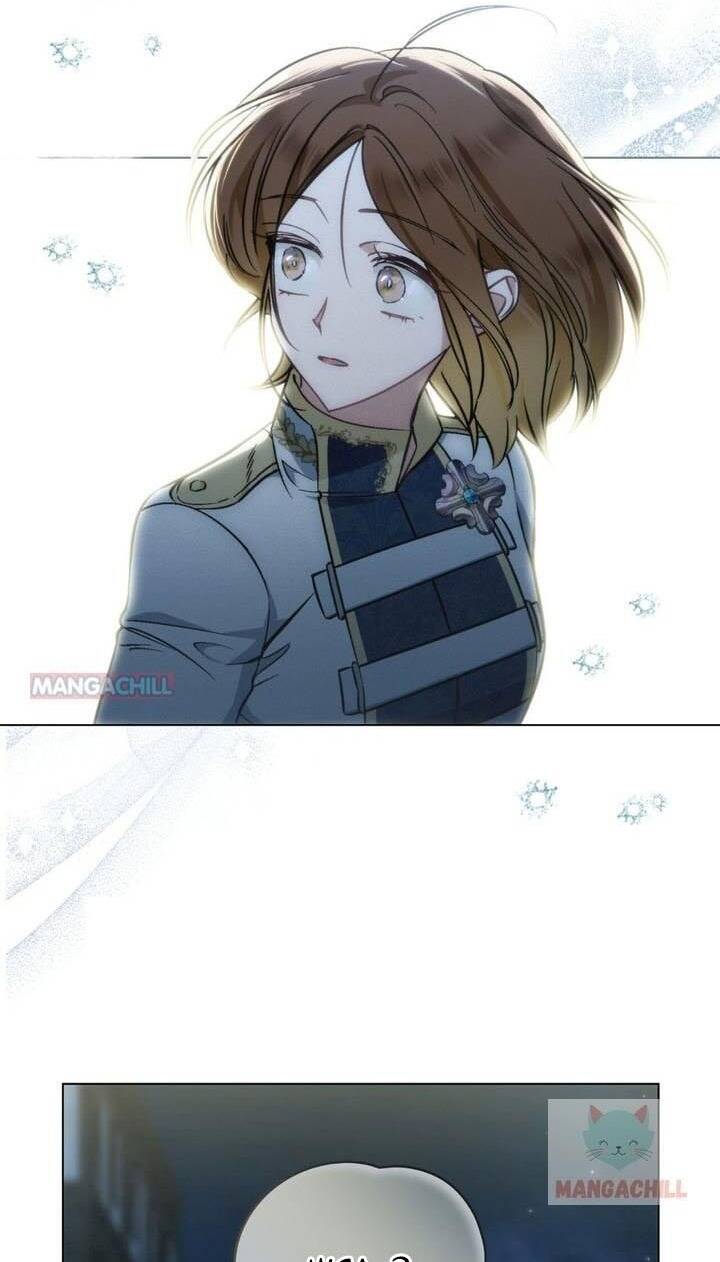 page_19.jpg
