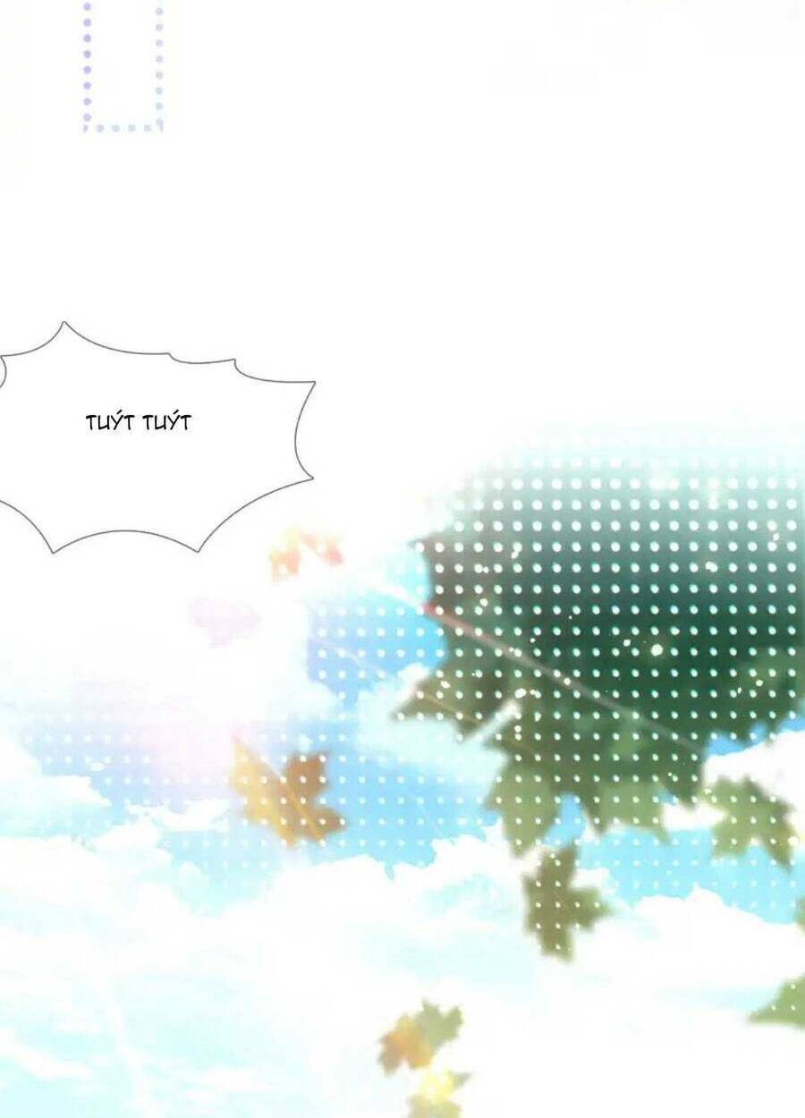 page_17.jpg