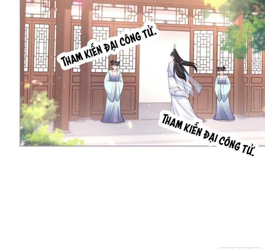 page_40.jpg