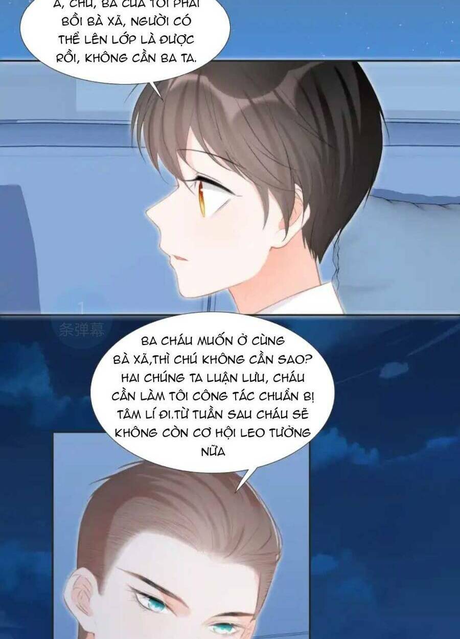 page_19.jpg