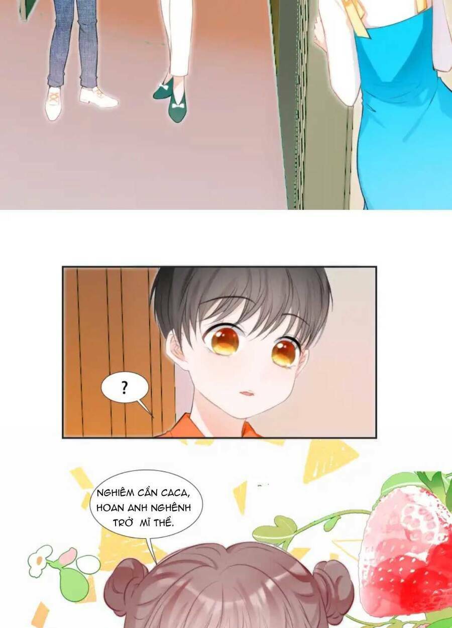 page_31.jpg