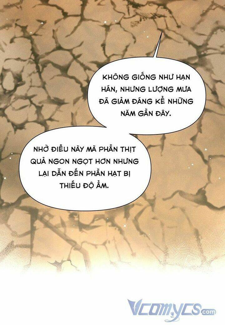 page_23.jpg