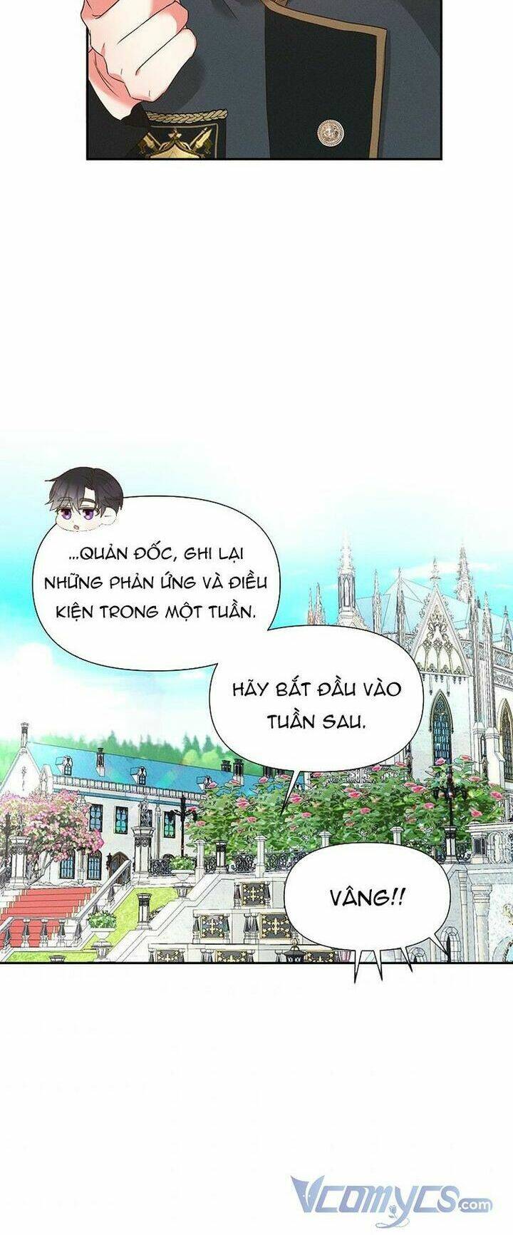 page_28.jpg