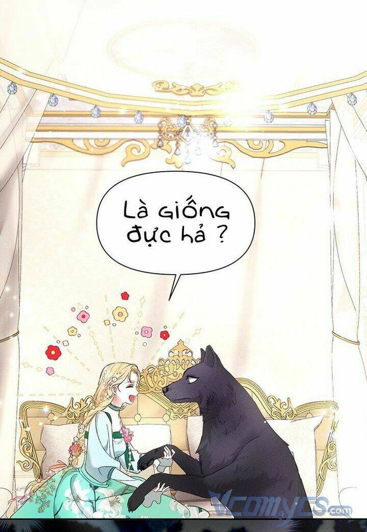page_19.jpg