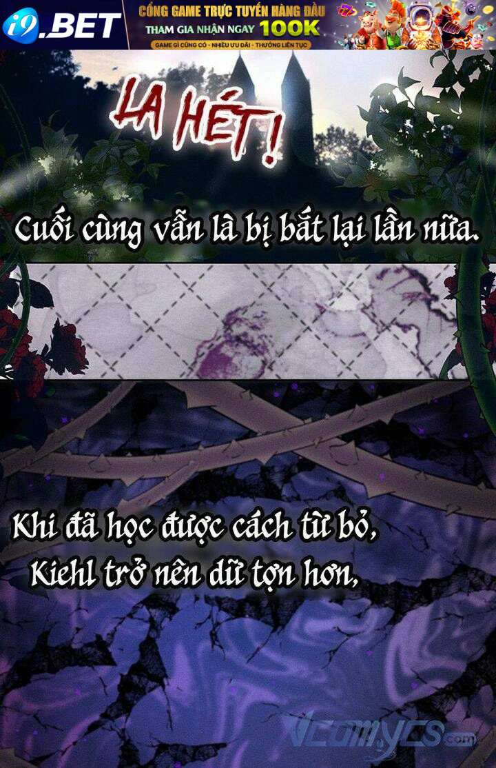 page_29.jpg