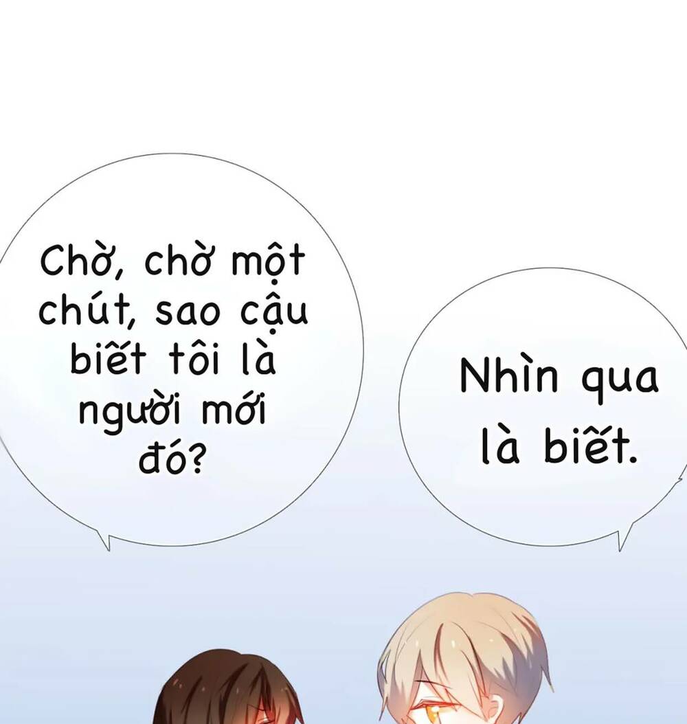 page_19.jpg