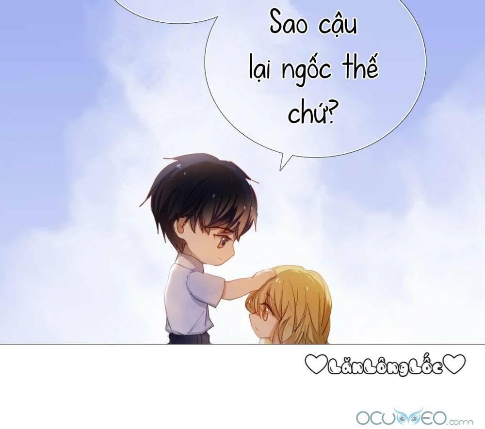 page_11.jpg