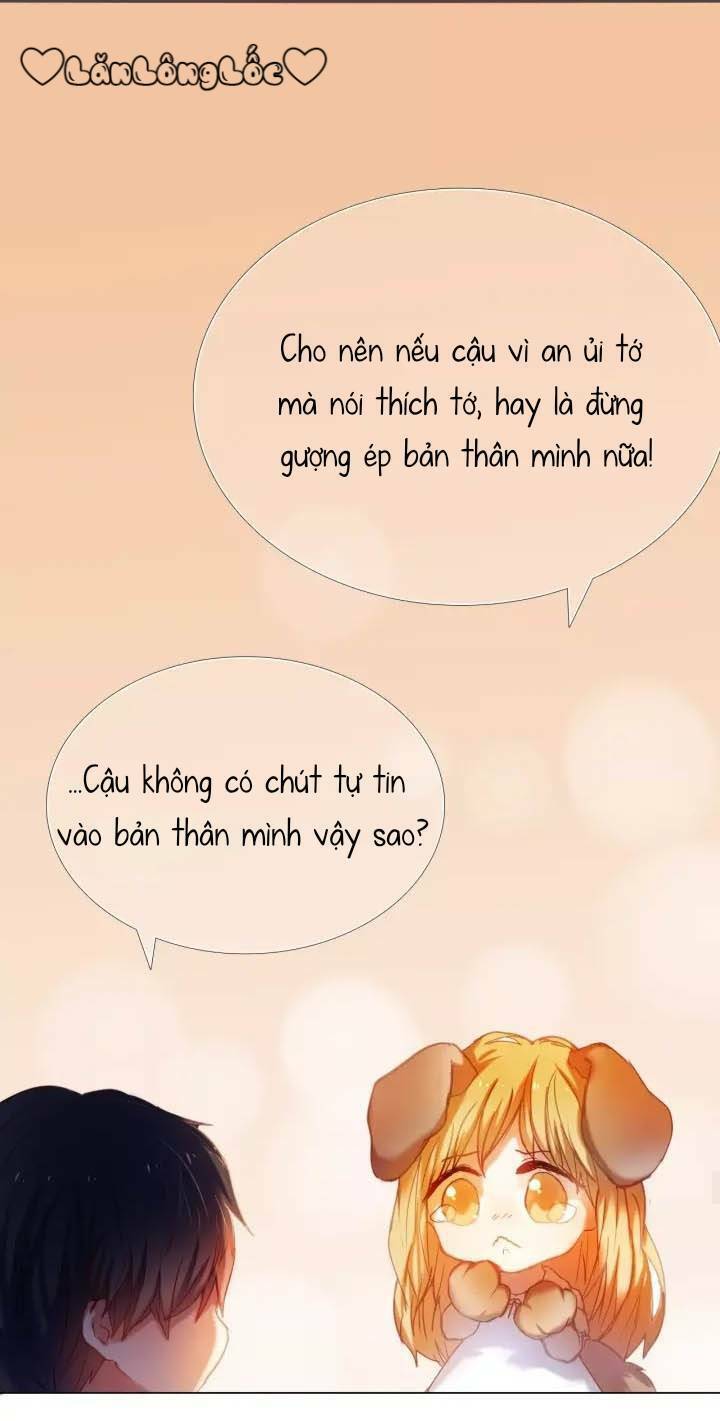 page_20.jpg