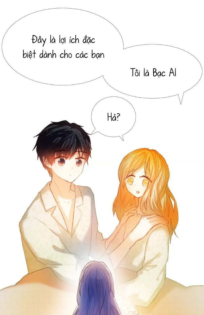 page_17.jpg