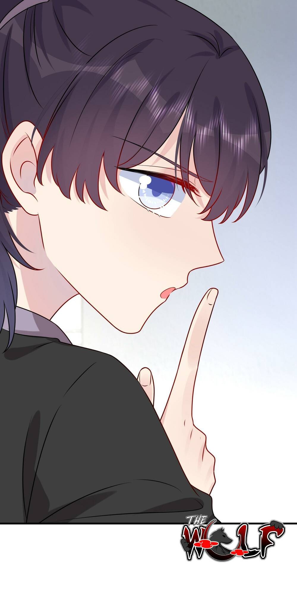 page_29.jpg