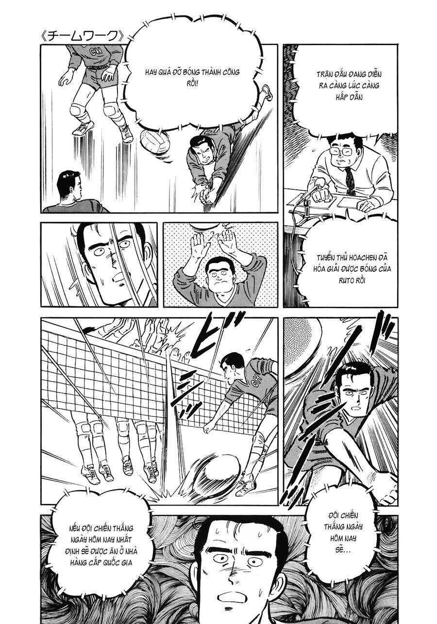 page_17.jpg