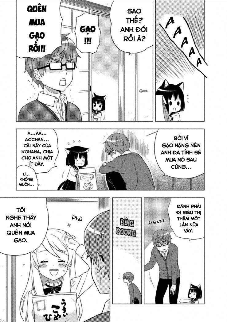 page_20.jpg