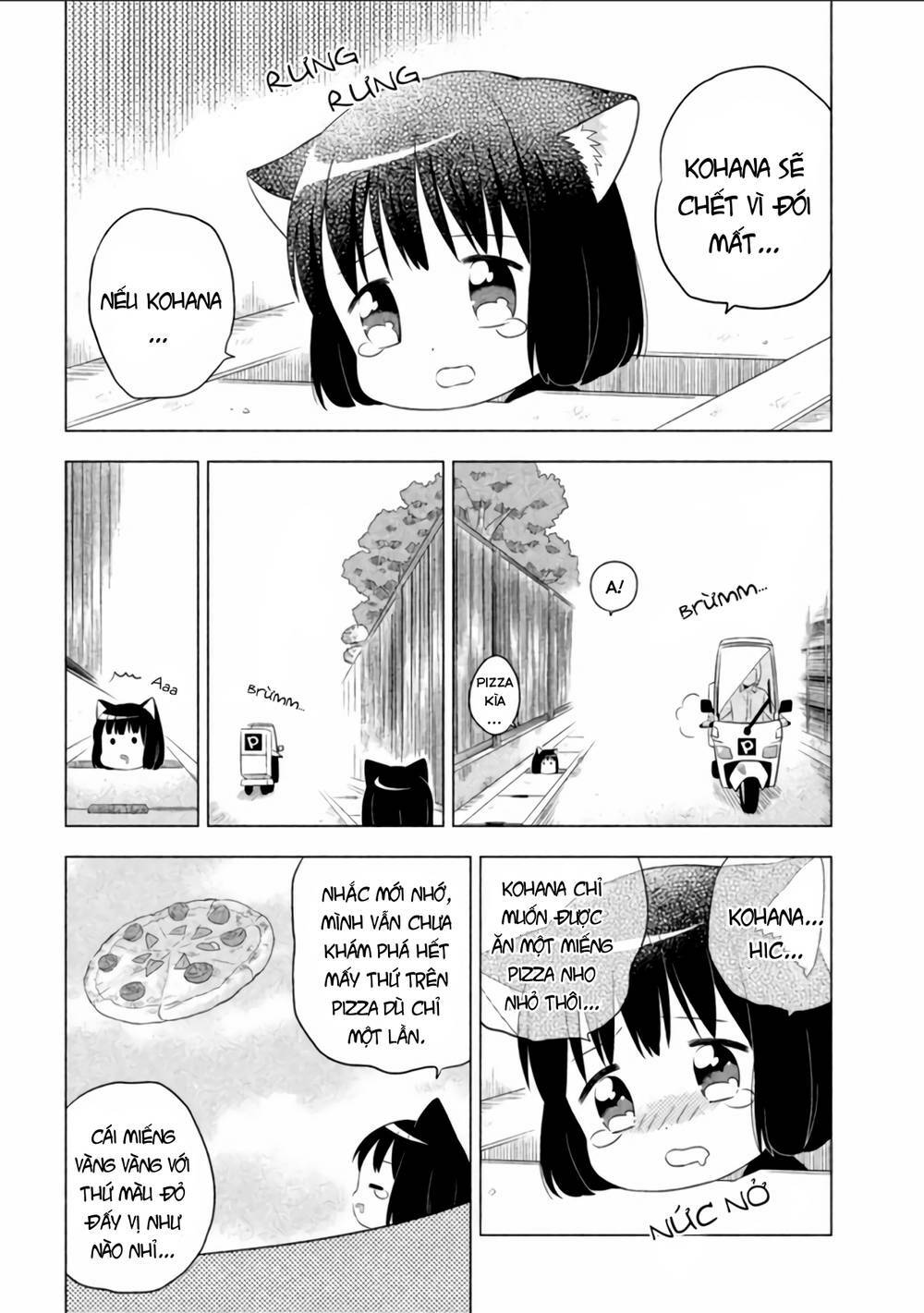 page_10.jpg