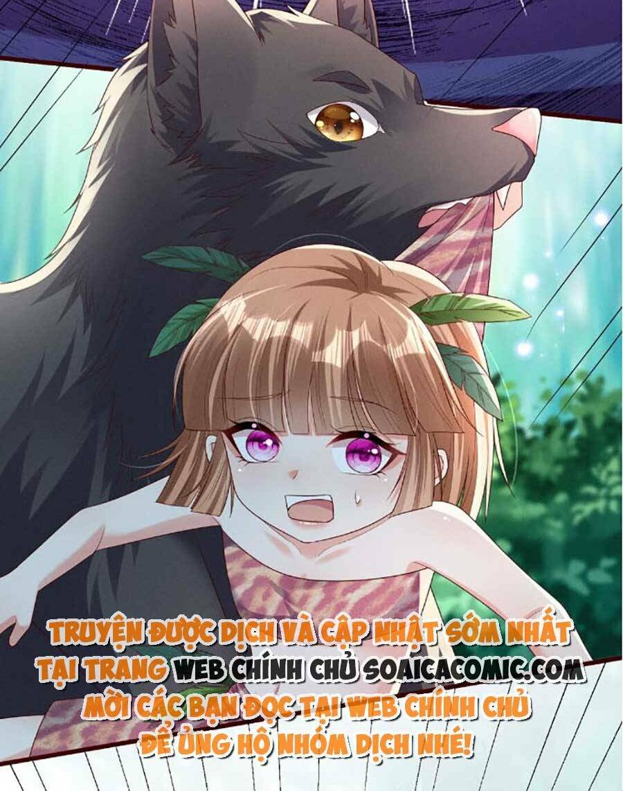 page_8.jpg