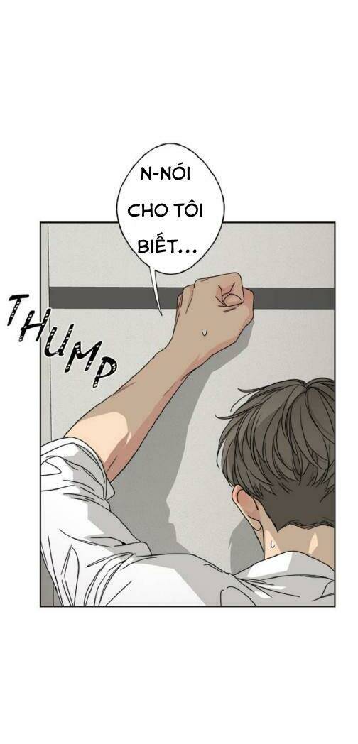 page_72.jpg