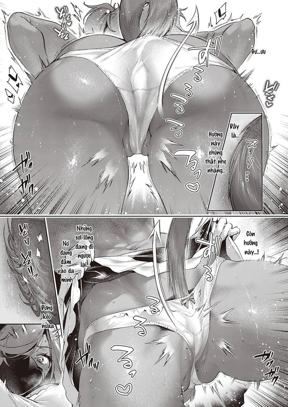 page_17.jpg