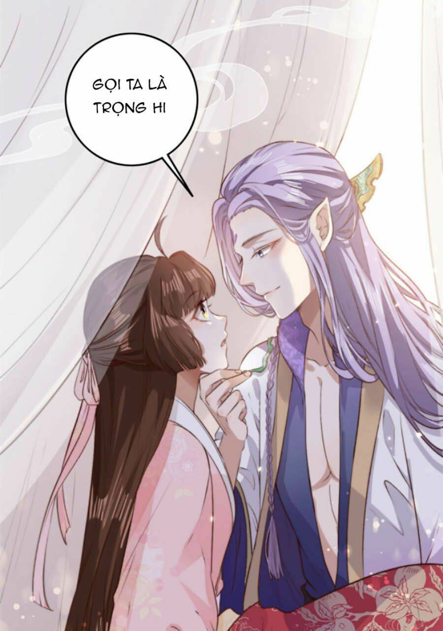 page_17.jpg