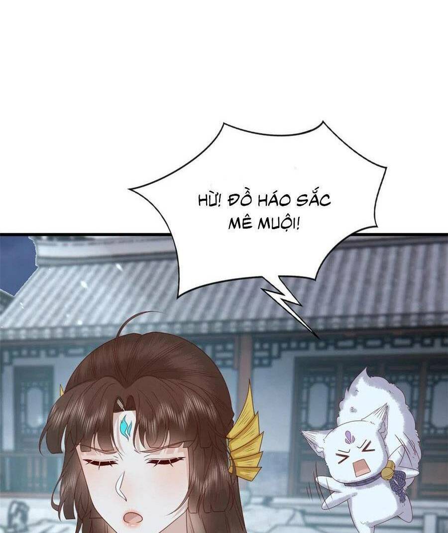 page_26.jpg
