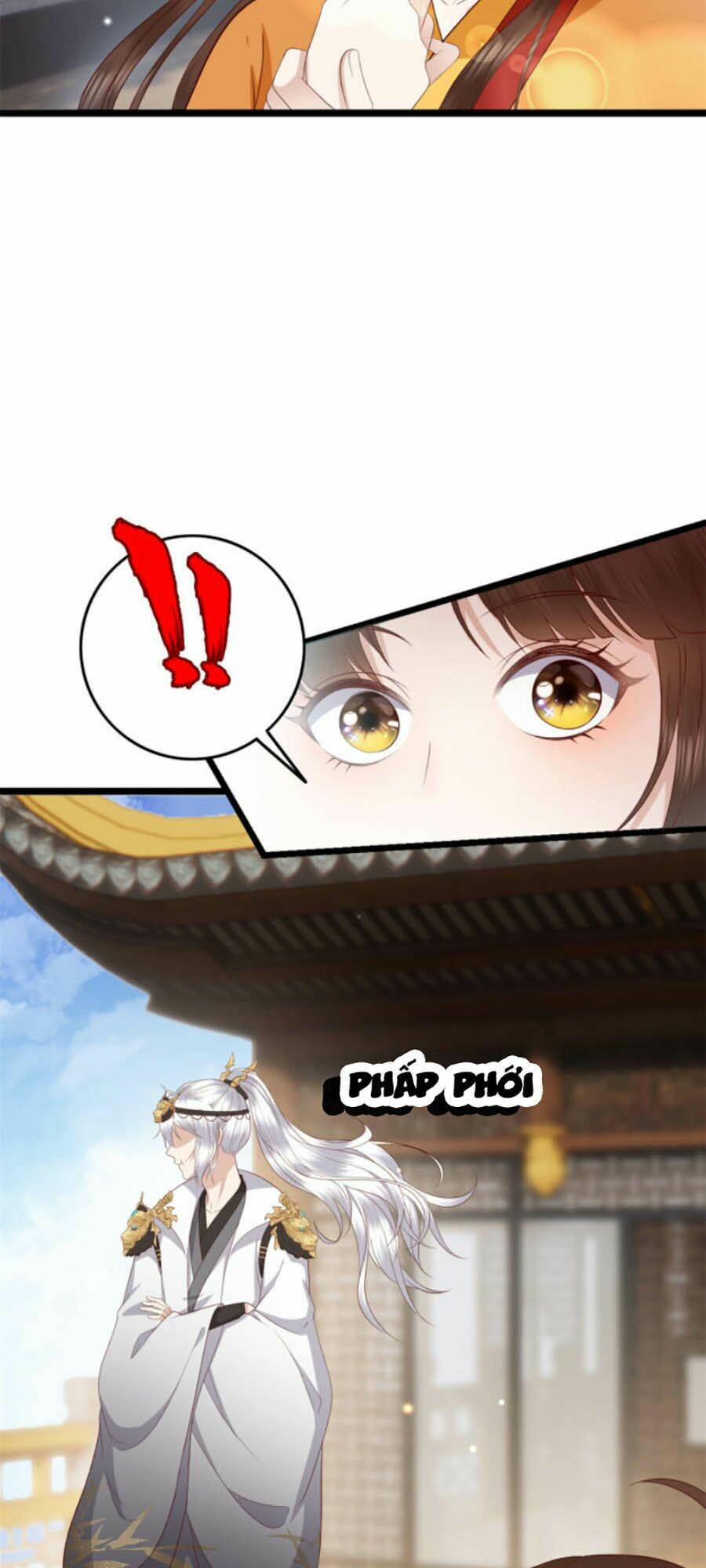 page_7.jpg