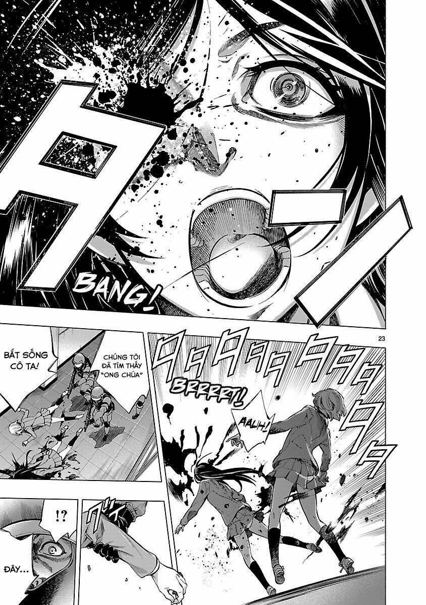 page_26.jpg