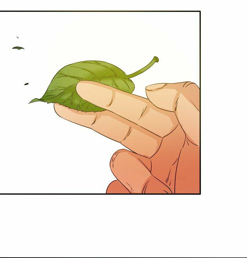 page_26.jpg
