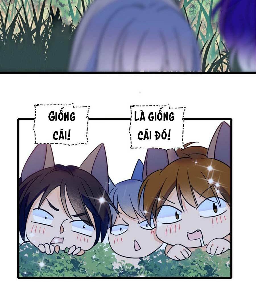 page_12.jpg