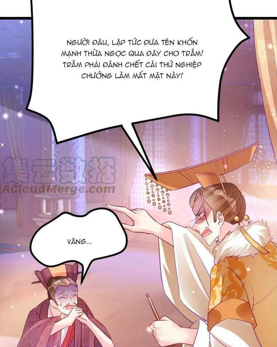 page_47.jpg