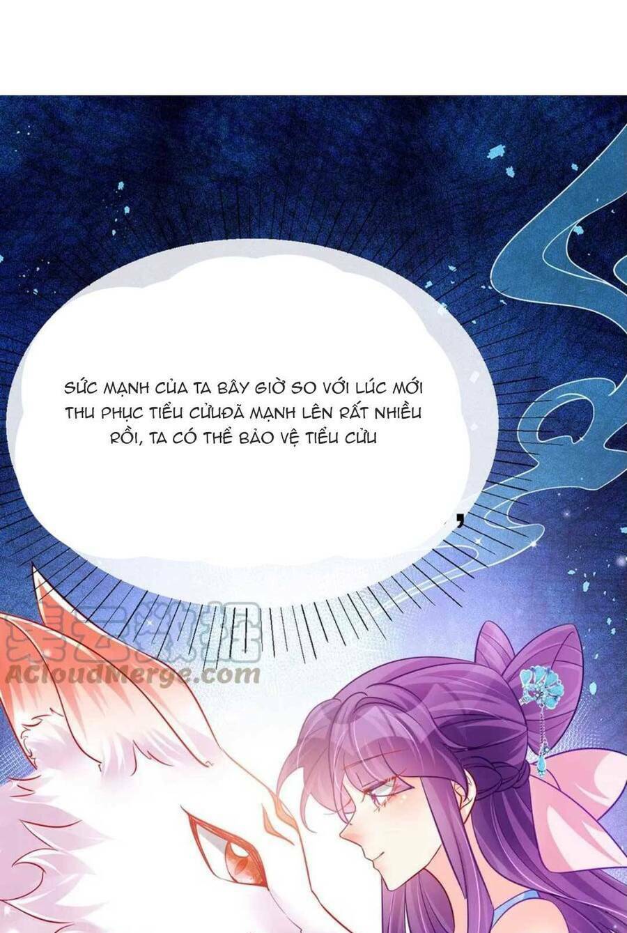 page_34.jpg