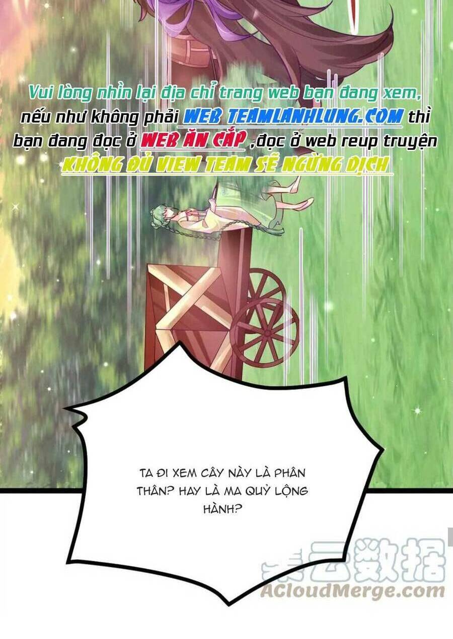 page_47.jpg