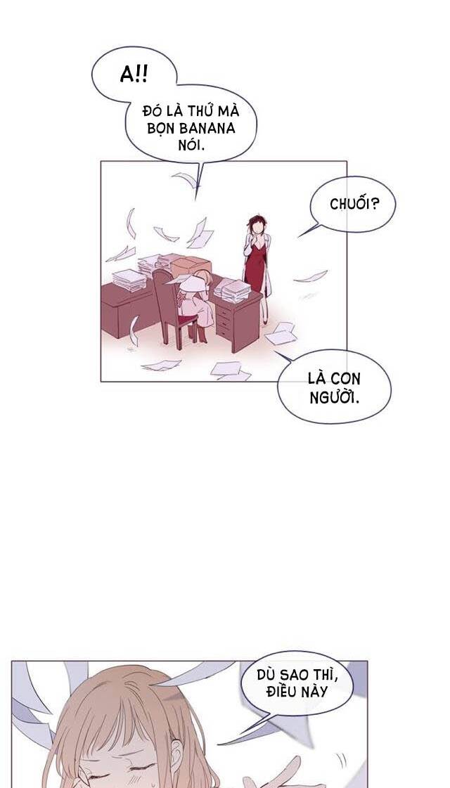 page_14.jpg