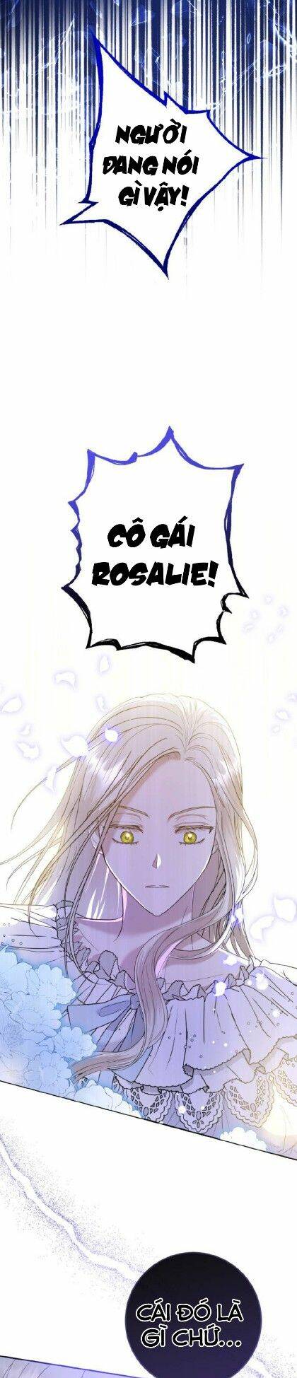 page_23.jpg