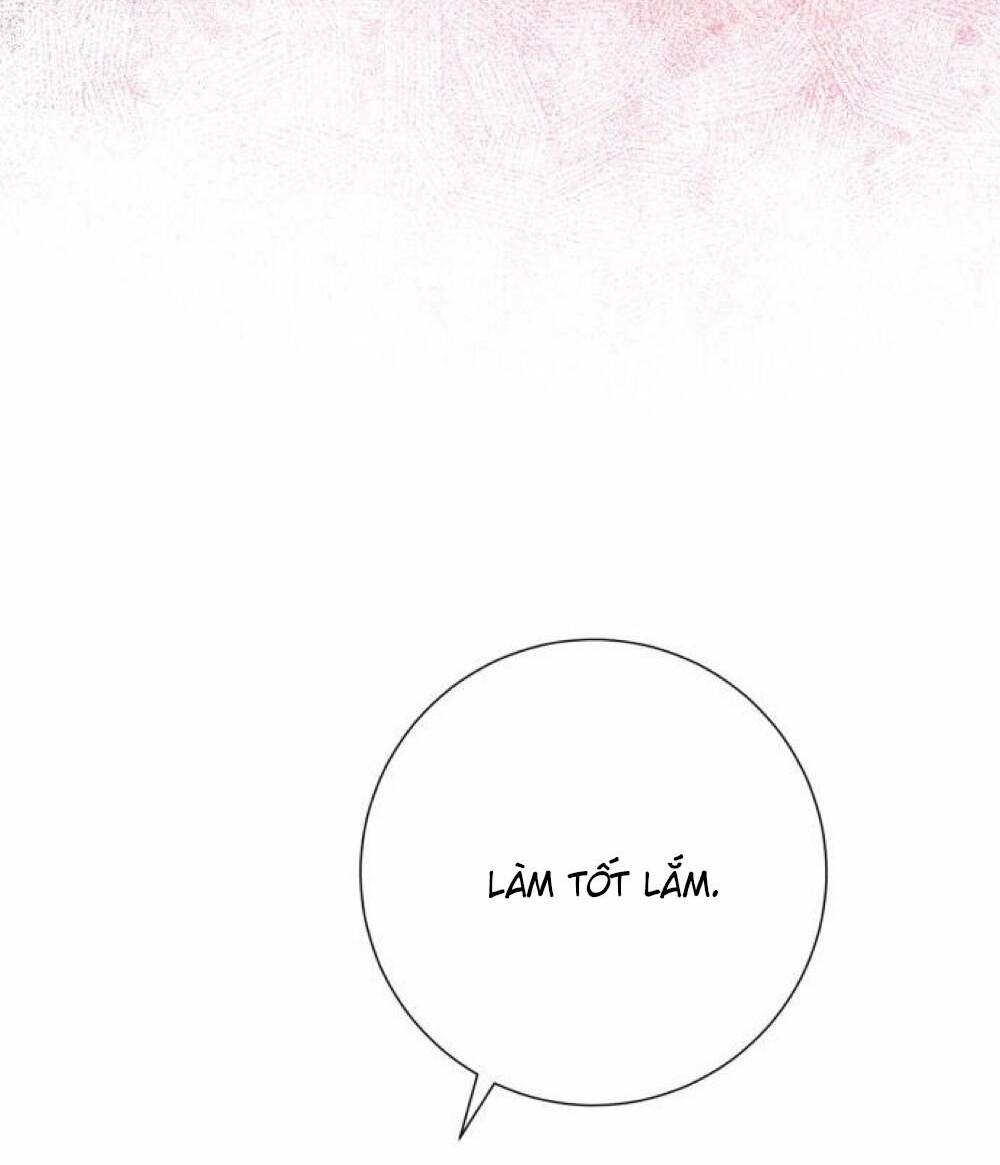 page_40.jpg