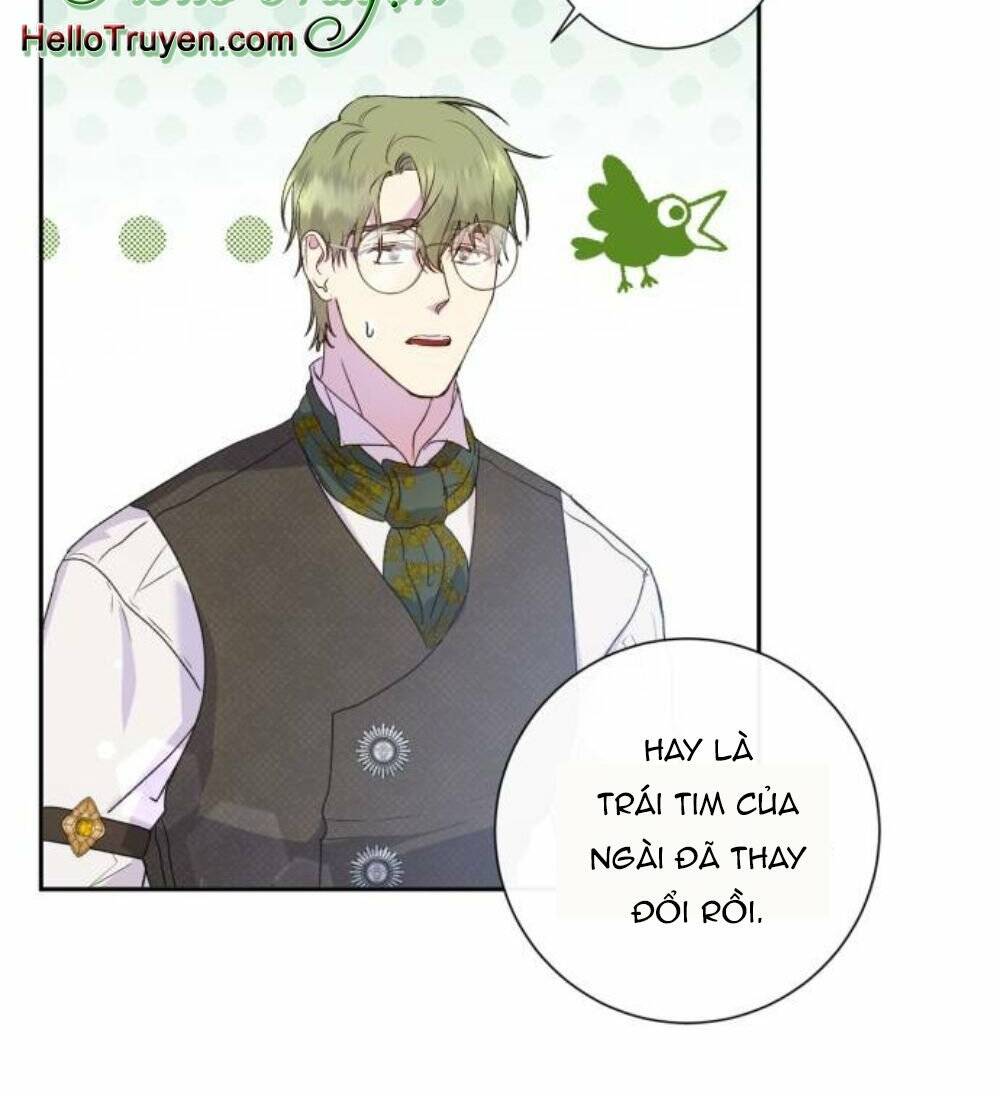 page_25.jpg