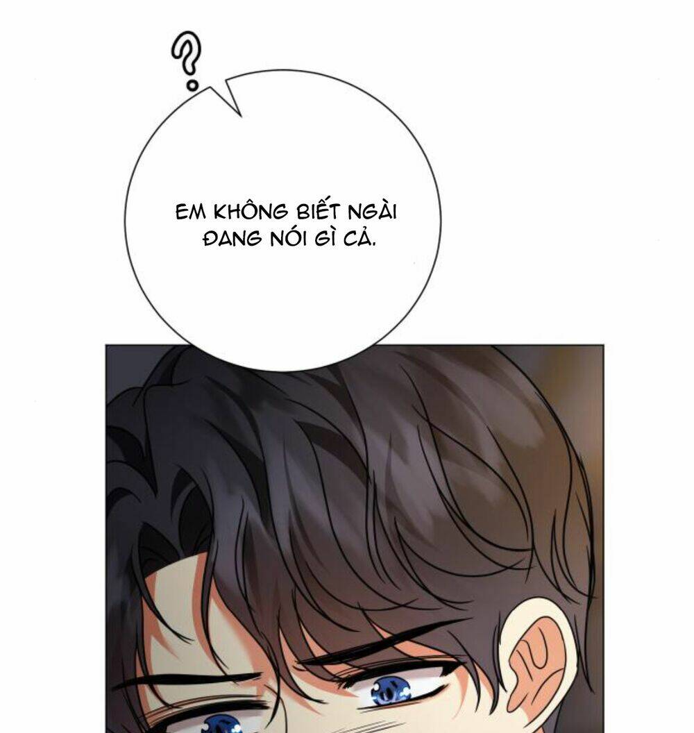page_23.jpg