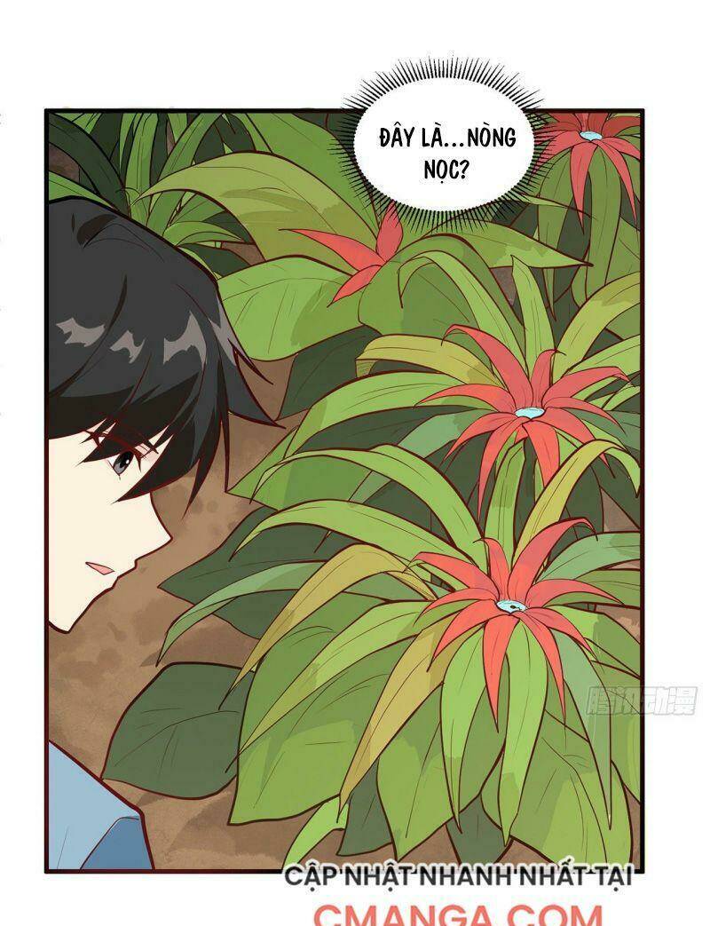 page_17.jpg