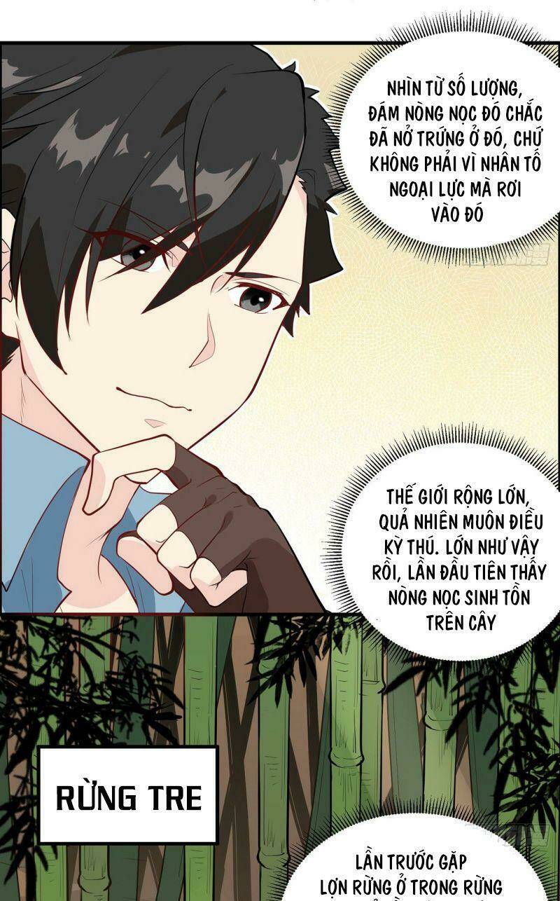 page_19.jpg