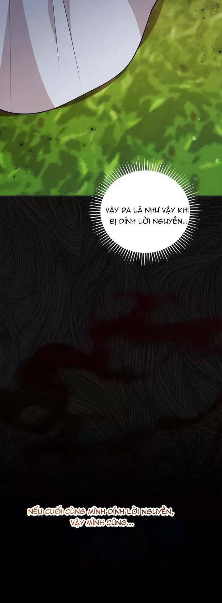 page_26.jpg